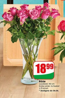 Róże promocja w Dino