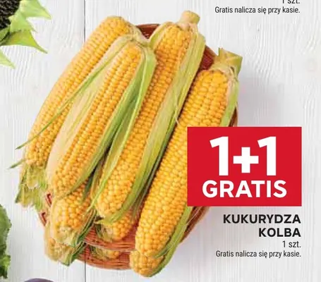 Kukurydza kolba promocja w Stokrotka