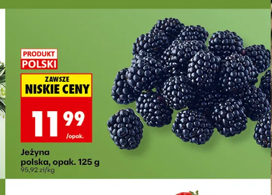 Jeżyna polska promocja w Biedronka