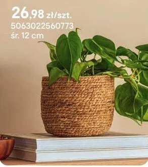 Koszyk wiklinowy śr. 12 cm promocja w Castorama