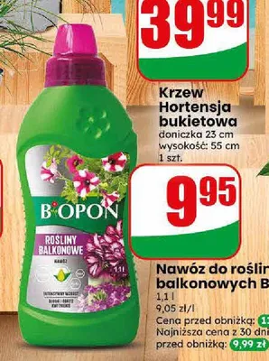 Nawóz do roślin balkonowych Biopon promocja w Dino