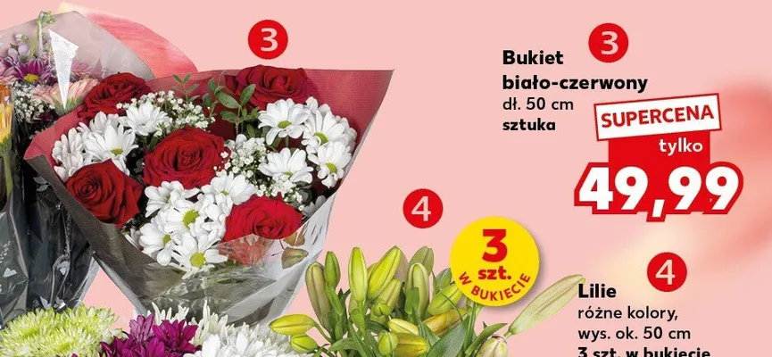 Bukiet biało-czerwony dł. 50cm promocja w Kaufland