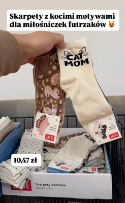 Skarpety damskie z kocimi motywami  promocja w Biedronka