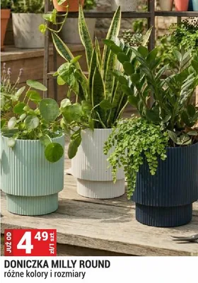 Doniczka Milly Round różne kolory i rozmiary promocja w Merkury Market
