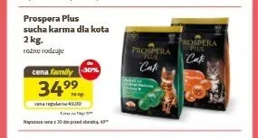 Karma sucha dla kota Prospera Plus promocja w Super Zoo