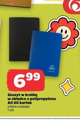 Zeszyt w kratkę w okładce z polipropylenu A5 60 kartek Herlitz promocja w Netto