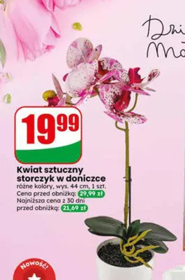 Kwiat sztuczny storczyk w doniczce wys. 44cm promocja w Dino