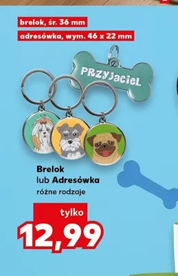 Adresówka promocja w Kaufland