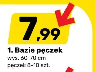 Bazie pęczek promocja w Bricomarche