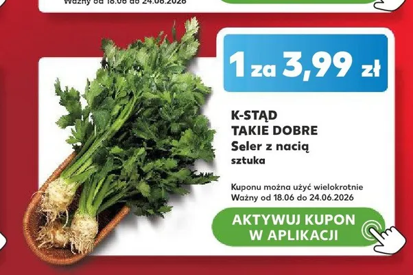 Seler z nacią K-Stąd Takie Dobre promocja w Kaufland
