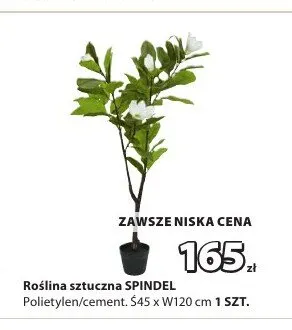 Roślina sztuczna Spindel promocja w Jysk