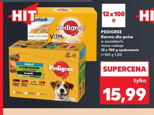 Karma dla psów w saszetkach Pedigree promocja w Kaufland