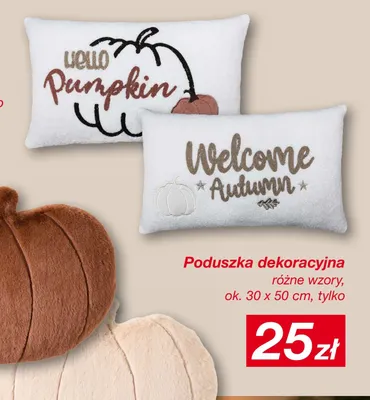 Poduszka dekoracyjna 30x50 cm promocja w KiK