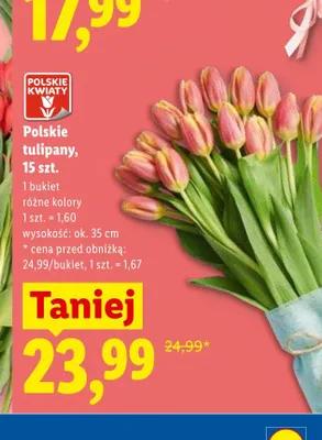 Polskie tulipany wys. ok. 35cm promocja w Lidl