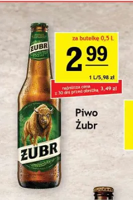 Piwo Żubr promocja w Gram Market