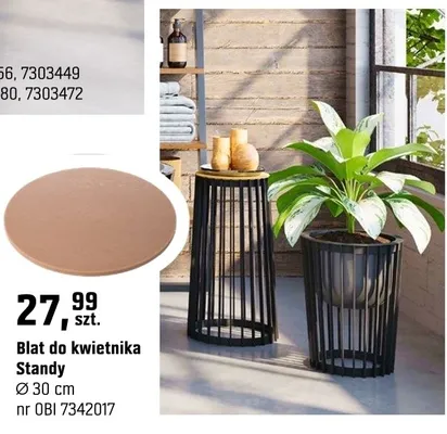Blat do kwietnika Standy Ø30cm promocja w OBI