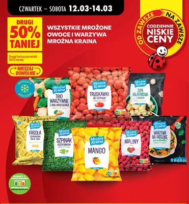 Wszystkie mrożone owoce i warzywa Mroźna Kraina DRUGIE -50% promocja w Biedronka