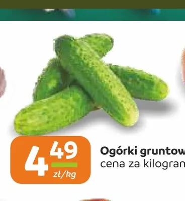 Ogórki gruntowe promocja w Społem Częstochowa