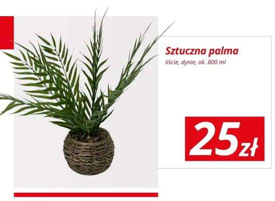 Sztuczna palma promocja w KiK