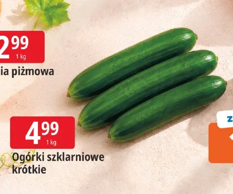 Ogórki szklarniowe krótkie promocja w Leclerc
