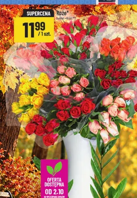 Róże bukiet 9 szt. POLOmarket promocja w POLOmarket