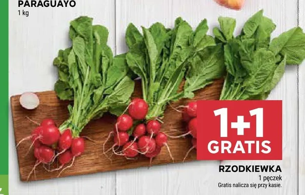 Rzodkiewka promocja w Stokrotka