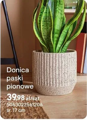 Doniczka paski pionowe promocja w Castorama