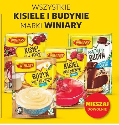 Wszystkie kisiele i budynie  promocja w Kaufland