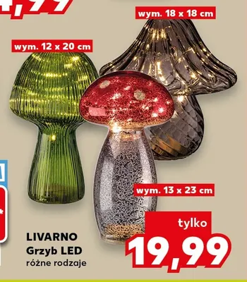 Grzyb LED Livarno promocja w Kaufland