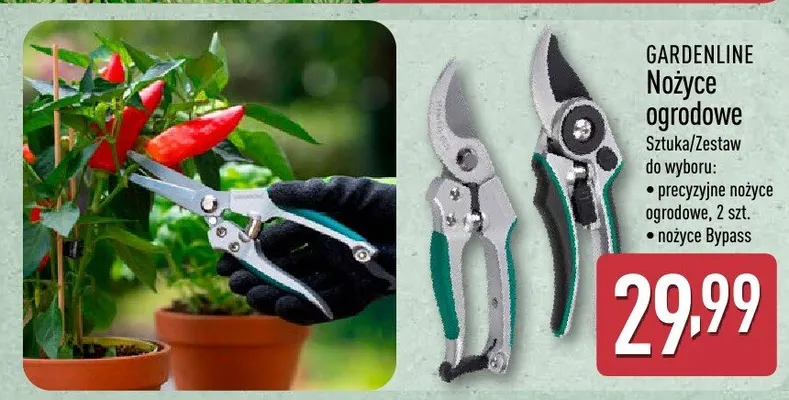 Nożyce ogrodowe promocja w Aldi