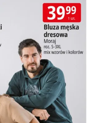 Bluza męska dresowa Moraj roz. S-3XL mix wzorów i kolorów promocja w Leclerc
