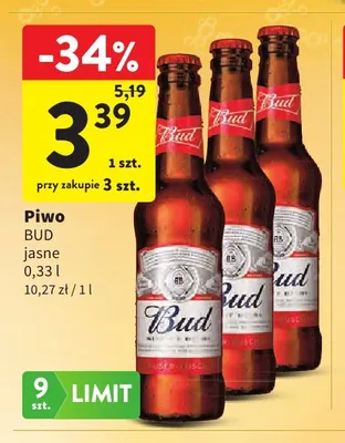 Piwo Bud promocja w Intermarche