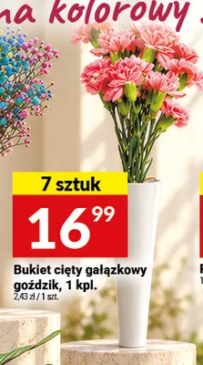 Bukiet cięty gałązkowy goździk promocja w Twój Market
