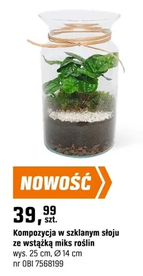 Kompozycja w szklanym słoju ze wstążką mix roślin promocja w OBI