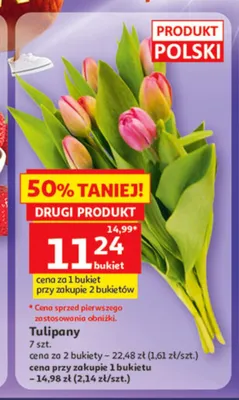 Tulipany polskie promocja w Auchan