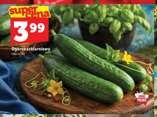 Ogórek szklarniowy polski promocja w TOPAZ