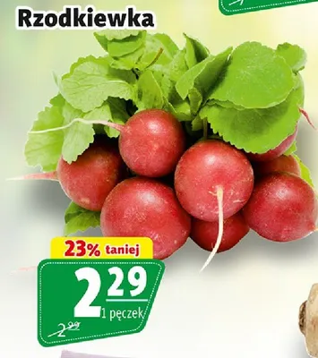 Rzodkiewka promocja w Prim Market