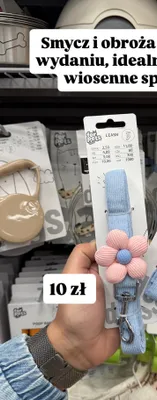 Smycz dla psa z ozdobą promocja w Pepco