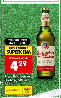 Piwo Budweiser Budvar promocja w Biedronka