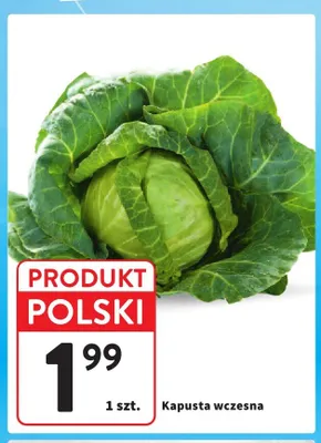 Kapusta wczesna polska promocja w Intermarche