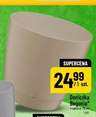 Doniczka Begonia 25 cm promocja w POLOmarket