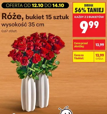 Róże bukiet 15 sztuk wysokość 35 cm promocja w Biedronka