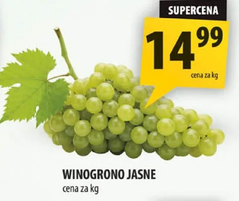 Winogrona jasne promocja w Arhelan