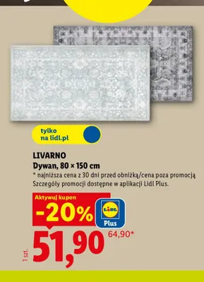 Dywan 80x150 cm Livarno promocja w Lidl