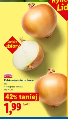 Cebula żółta polska luzem Ryneczek Lidla promocja w Lidl