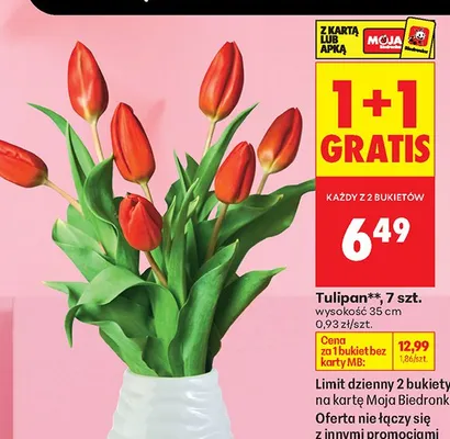 Tulipan, 7 szt. promocja w Biedronka
