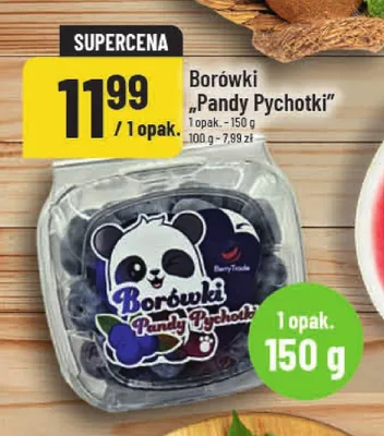 Borówki "Pandy Pychotki" promocja w POLOmarket
