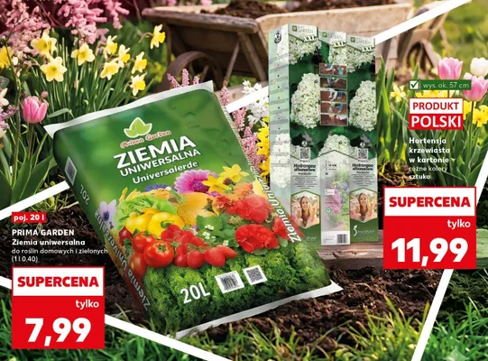 Ziemia uniwersalna do roślin domowych i zielonych promocja w Kaufland