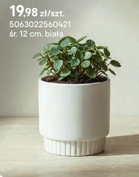 Doniczka biała śr. 12 cm promocja w Castorama