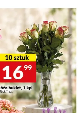 Róża bukiet promocja w Twój Market